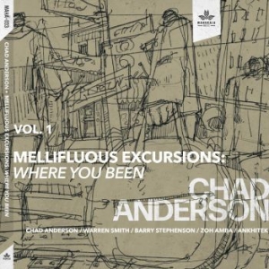 Anderson Chad - Mellifluous Excursions Vol. 1 - Whe i gruppen CD / Jazz hos Bengans Skivbutik AB (4164558)