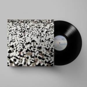 Stella Donnelly - Flood i gruppen VINYL / Pop-Rock hos Bengans Skivbutik AB (4164583)