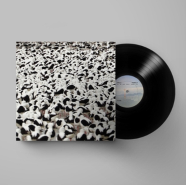 Stella Donnelly - Flood i gruppen VINYL / Toppsäljare hos Bengans Skivbutik AB (4164583)