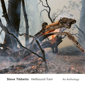 Tibbetts Steve - Hellbound Train - An Anthology (2Cd i gruppen CD / Jazz hos Bengans Skivbutik AB (4166066)