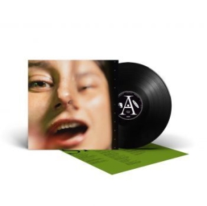 Pencey Sloe - Neglect (Black Vinyl Lp) i gruppen VINYL / Pop hos Bengans Skivbutik AB (4166928)