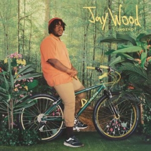 Jaywood - Slingshot (Canary Yellow Vinyl) i gruppen VINYL / Rock hos Bengans Skivbutik AB (4167471)