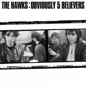 Hawks - Obviously 5 Believers i gruppen CD / Rock hos Bengans Skivbutik AB (4168847)