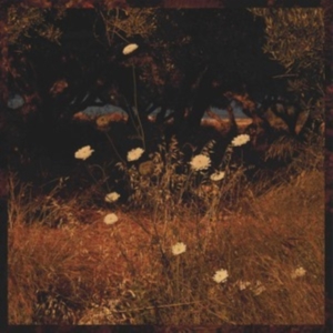 Szun Waves - Earth Patterns i gruppen CD / Jazz hos Bengans Skivbutik AB (4169048)