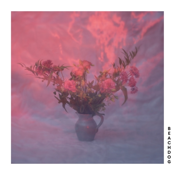 Beachdog - Beachdog i gruppen VINYL / Toppsäljare hos Bengans Skivbutik AB (4169641)