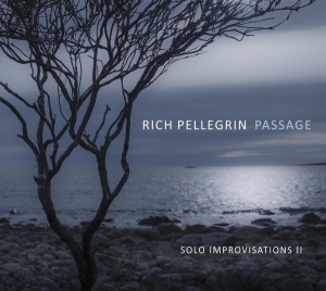 Pellegrin Rich - Passage: Solo Improvisations II i gruppen CD / Jazz hos Bengans Skivbutik AB (4171520)
