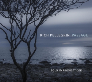 Rich Pellegrin - Passage: Solo Improvisations Ii i gruppen CD / Jazz hos Bengans Skivbutik AB (4171520)