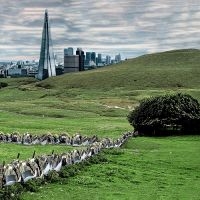 Famous - The Valley/England Ep i gruppen VINYL / Pop-Rock hos Bengans Skivbutik AB (4172080)