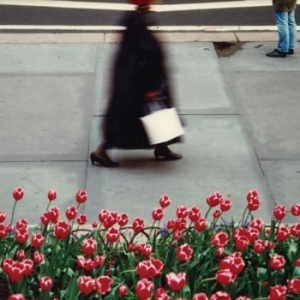 Air Waves - Dance i gruppen CD / Pop-Rock hos Bengans Skivbutik AB (4172455)