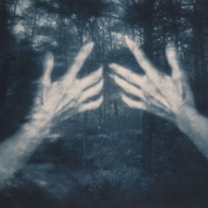 Santos Silva Susana - All The Birds And A Telephone Ringi i gruppen CD / Pop-Rock hos Bengans Skivbutik AB (4172471)