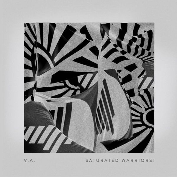 Various Artists - Saturated Warriors! i gruppen VINYL / Dans/Techno hos Bengans Skivbutik AB (4173986)