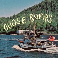 Boyscott - Goose Bumps (Dark Blue & Powder Blu i gruppen VINYL / Pop-Rock hos Bengans Skivbutik AB (4173990)