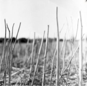 Recondite - On Acid (2022) i gruppen VINYL / Dance-Techno hos Bengans Skivbutik AB (4174014)