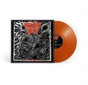 Wayward Dawn - All-Consuming Void (Orange Vinyl Lp i gruppen VINYL / Dansk Musik,Hårdrock hos Bengans Skivbutik AB (4176038)