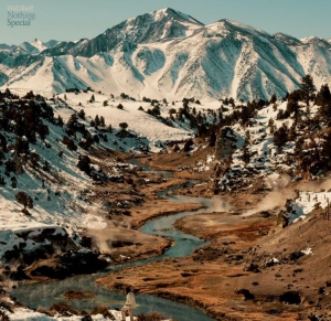 Sheff Will - Nothing Special (Col.Vinyl) i gruppen VINYL / Pop-Rock hos Bengans Skivbutik AB (4177699)