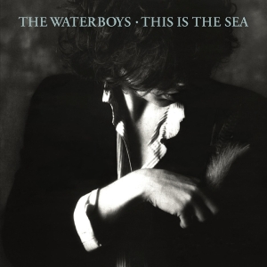 The Waterboys - This Is The Sea i gruppen Minishops / Waterboys hos Bengans Skivbutik AB (4178683)
