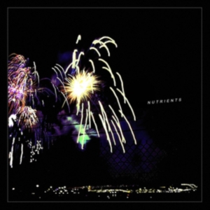 Nutrients - Different Bridges i gruppen VINYL / Pop-Rock hos Bengans Skivbutik AB (4179622)