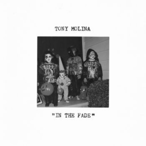 Tony Molina - In The Fade i gruppen VINYL / Pop-Rock hos Bengans Skivbutik AB (4180175)
