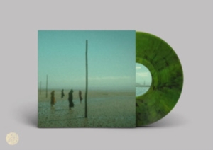 Devils Witches - In All Her Forms (Green/Black Marbl i gruppen VINYL / Hårdrock hos Bengans Skivbutik AB (4180182)