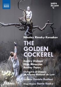 Rimsky-Korsakov Nikolay - The Golden Cockerel (Dvd) i gruppen Externt_Lager / Naxoslager hos Bengans Skivbutik AB (4180843)