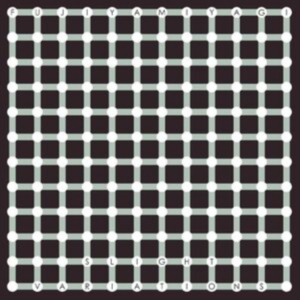 Fujiya & Miyagi - Slight Variations (Blue Vinyl) i gruppen VINYL / Pop-Rock hos Bengans Skivbutik AB (4181202)