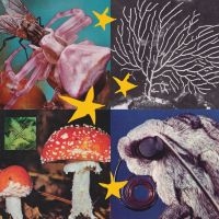 Blandade Artister - All Things Considered Vol 2 i gruppen VINYL / Toppsäljare hos Bengans Skivbutik AB (4181975)
