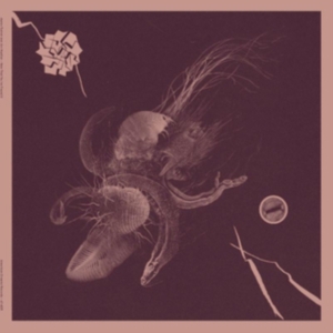 Turner Aaron & Jon Mueller - Now That You've Found It i gruppen VINYL / Hårdrock hos Bengans Skivbutik AB (4182012)