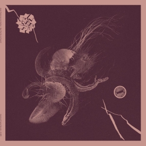Turner Aaron & Jon Mueller - Now That You've Found It i gruppen VINYL / Hårdrock hos Bengans Skivbutik AB (4182012)