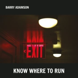 Adamson Barry - Know Where To Run i gruppen VINYL / Pop-Rock hos Bengans Skivbutik AB (4182291)