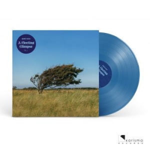 Riis Bjïrn - A Fleeting Glipse (Transparent Blue i gruppen VINYL / Pop-Rock hos Bengans Skivbutik AB (4182303)