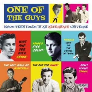 Blandade Artister - One Of The Guys (1960S Teen Idols I i gruppen CD / Pop-Rock hos Bengans Skivbutik AB (4182321)