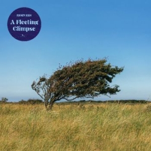 Riis Bjïrn - A Fleeting Glipse i gruppen CD / Pop-Rock hos Bengans Skivbutik AB (4182364)