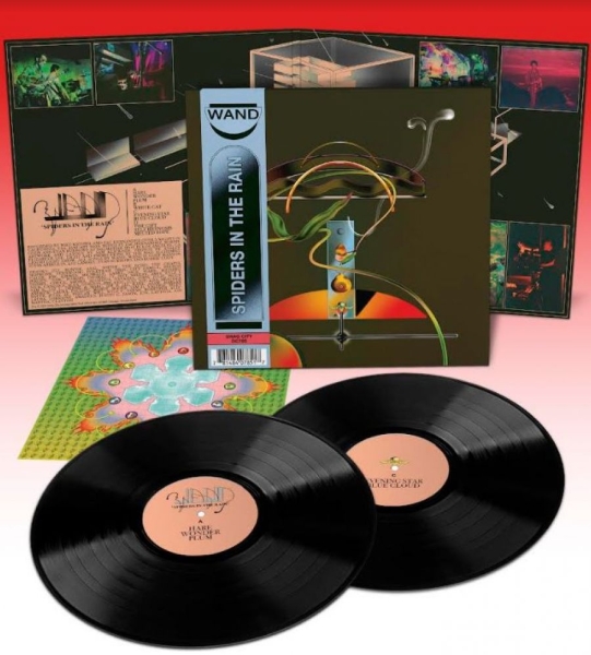 Wand - Spiders In The Rain i gruppen VINYL / Toppsäljare hos Bengans Skivbutik AB (4182861)