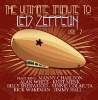 Various Artist - Led Zeppelin - Ultimate Tribute 2 i gruppen VINYL / Pop-Rock hos Bengans Skivbutik AB (4182912)