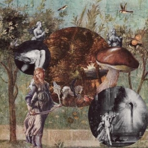 Native Harrow - Old Kind Of Magic i gruppen CD / Pop-Rock hos Bengans Skivbutik AB (4183115)