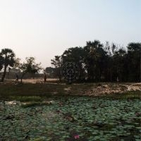 Korwar Sarathy - Kalak (Indie Exclusive, Dark Green i gruppen VINYL / Jazz,Pop-Rock hos Bengans Skivbutik AB (4183855)