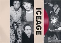 Iceage - Shake The Feeling: Outtakes & Rarit in the group VINYL / Jazz,Pop-Rock at Bengans Skivbutik AB (4184487)