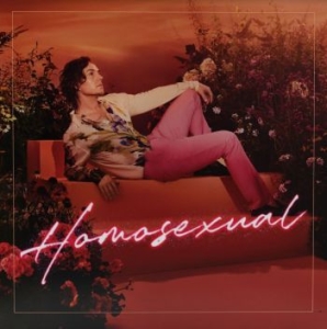 Darren Hayes - Homosexual (Turquoise) i gruppen VINYL / Pop hos Bengans Skivbutik AB (4185394)