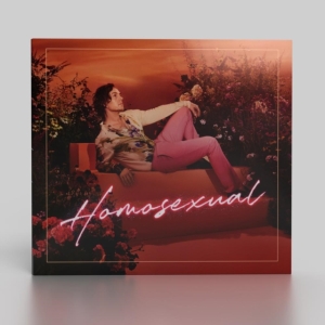 Hayes Darren - Homosexual (Turquoise) i gruppen VINYL / Pop-Rock hos Bengans Skivbutik AB (4185394)