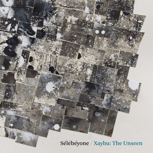 Lehman Steve / Selebeyone - Xaybu: The Unseen i gruppen VINYL / Jazz/Blues hos Bengans Skivbutik AB (4186443)