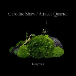 Caroline Shaw & Attacca Quarte - Caroline Shaw: Evergreen i gruppen CD / Klassiskt hos Bengans Skivbutik AB (4187035)
