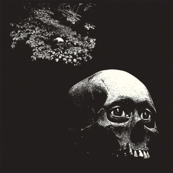 Osees - A Foul Form i gruppen VINYL / Rock hos Bengans Skivbutik AB (4187452)