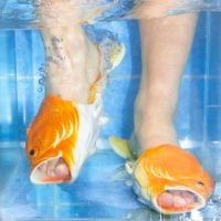 Brockhoff - Sharks i gruppen VINYL / Rock hos Bengans Skivbutik AB (4187654)