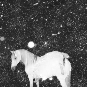 Black Lips - Apocalypse Love i gruppen CD / Pop-Rock hos Bengans Skivbutik AB (4187700)