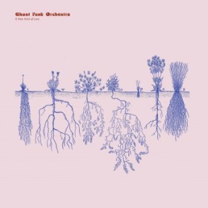 Ghost Funk Orchestra - A New Kind Of Love i gruppen CD / RnB-Soul hos Bengans Skivbutik AB (4190366)