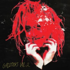 Caleb Landry Jones - Gadzooks Vol. 2 i gruppen VINYL / Pop-Rock hos Bengans Skivbutik AB (4191731)