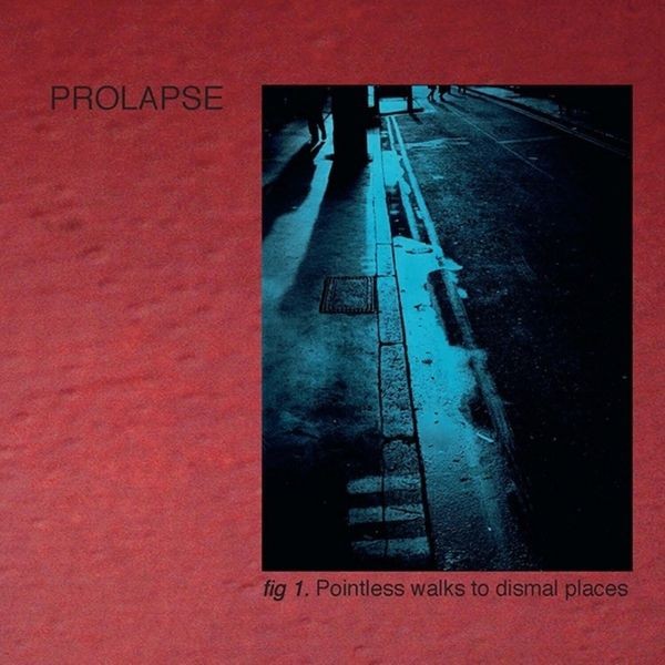 Prolapse - POINTLESS WALKS TO DISMAL PLACES i gruppen VINYL / Rock hos Bengans Skivbutik AB (4192570)