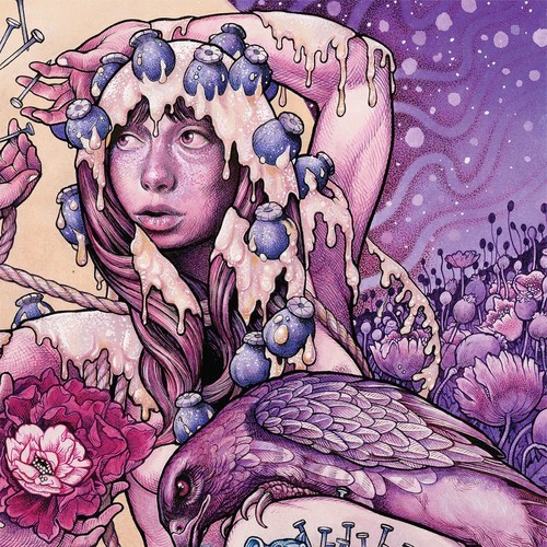 Baroness - Try To Disappear -Pd- i gruppen VINYL / Hårdrock/ Heavy metal hos Bengans Skivbutik AB (4193031)