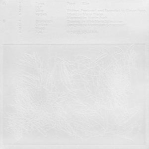 Popp - Blizz i gruppen VINYL / Pop-Rock hos Bengans Skivbutik AB (4193892)