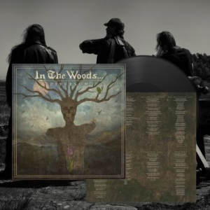 In The Woods... - Diversum (Vinyl Lp) i gruppen VINYL / Hårdrock/ Heavy metal hos Bengans Skivbutik AB (4196508)